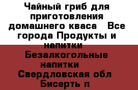 Чайный гриб для приготовления домашнего кваса - Все города Продукты и напитки » Безалкогольные напитки   . Свердловская обл.,Бисерть п.